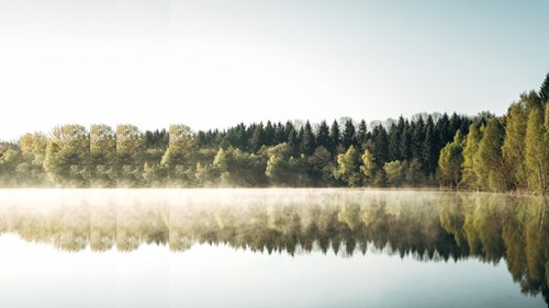 Lake by sunrise pulsed