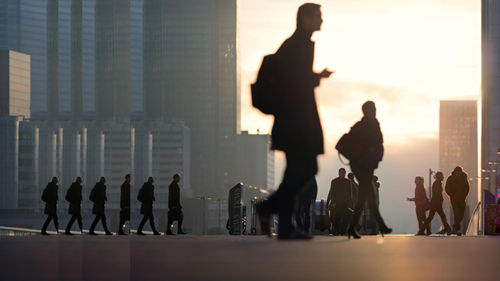 people morning with pulse